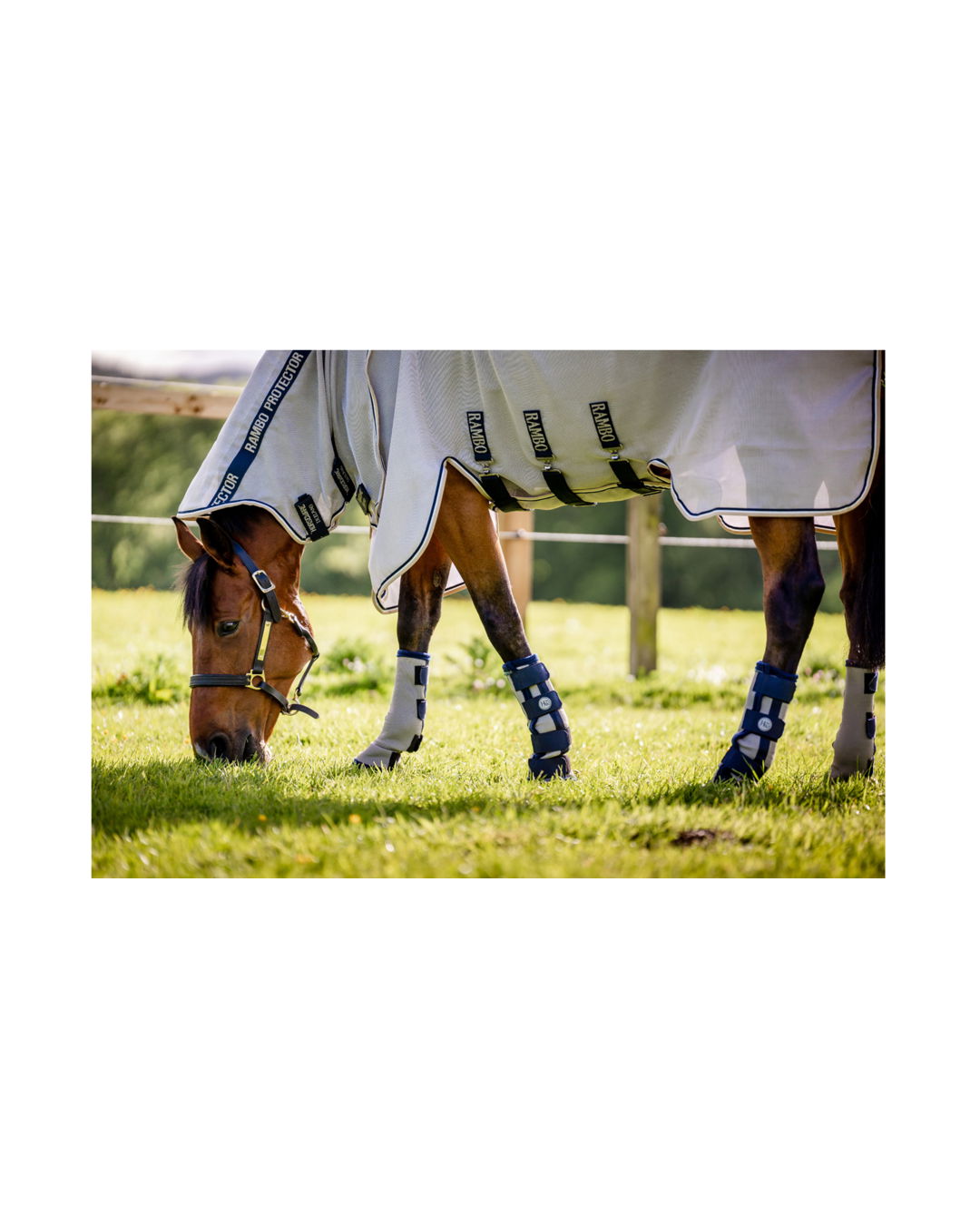 Horseware deals fly boots